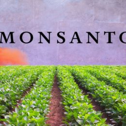 Monsanto Workers Faced Deeper Job Cuts On Falling Sales (NYSE:MON)