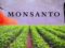 Monsanto Workers Faced Deeper Job Cuts On Falling Sales (NYSE:MON)